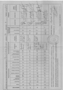 Documento de evaluación 2013 -2 001