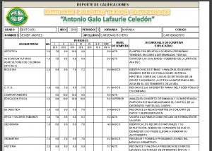 boletin 1
