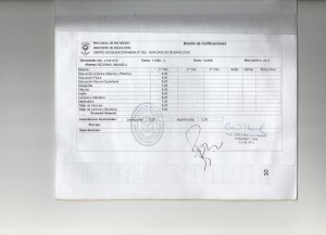 boletin 7