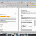 Ésta es una captura de pantalla de un archivo que contenía el modelo de boletín discutido en la primer experiencia relatada y sobre el que se fueron anotando las sucesivas modificaciones a lo largo de las reuniones de equipo.